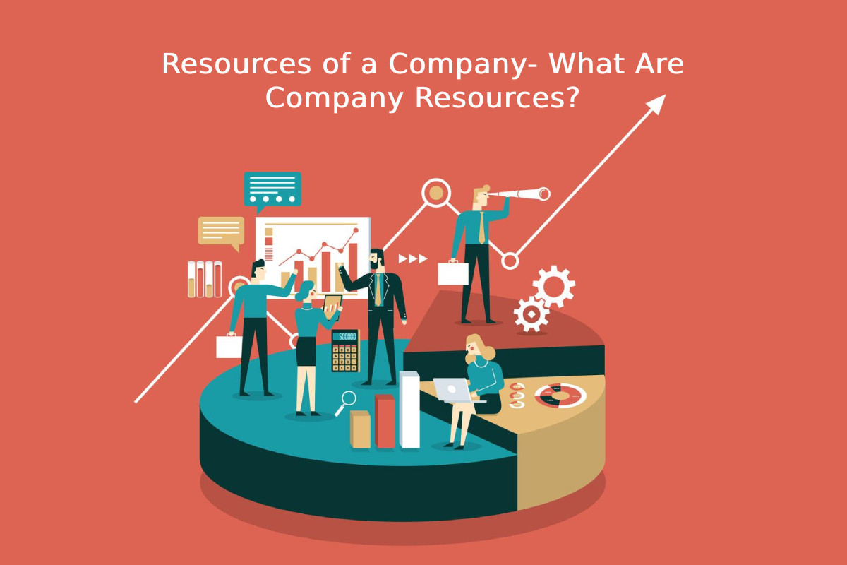 What Are Company Resources