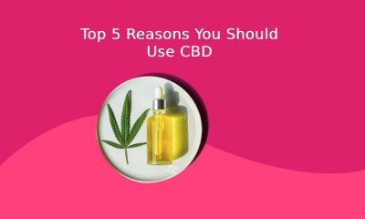 Top 5 Reasons You Should Use CBD