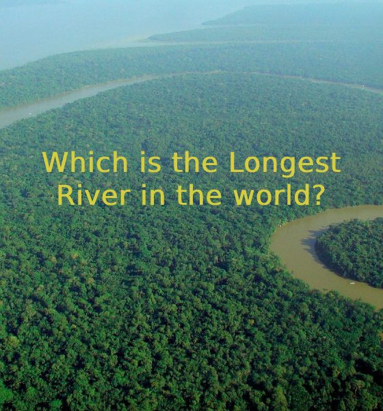 largest river in the world