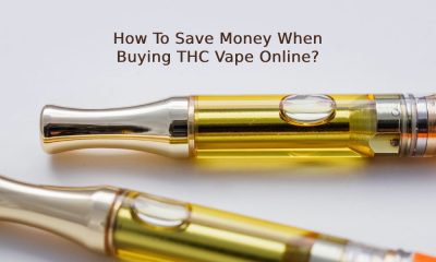 How To Save Money When Buying THC Vape Online?